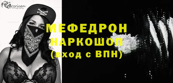 Альфа ПВП Няндома