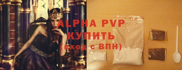 Альфа ПВП Няндома