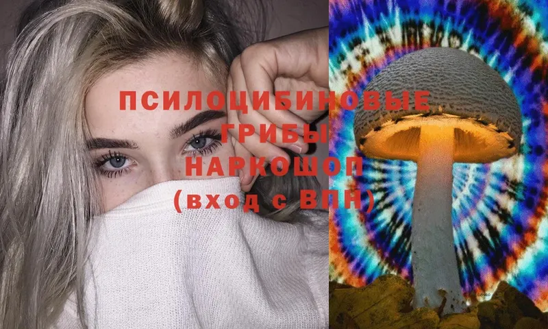 Псилоцибиновые грибы GOLDEN TEACHER Любим