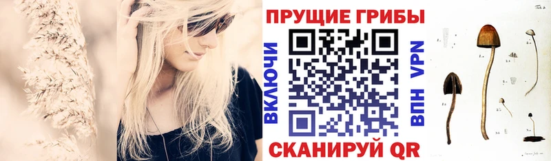 Псилоцибиновые грибы Cubensis  Любим 